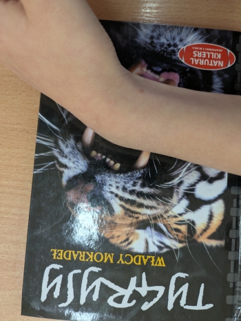 06_tydzien_biblio