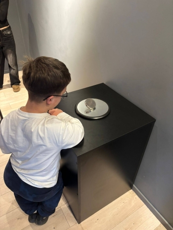 Zdjęcie WhatsApp 2025-12-02 o 17.24.45_4bc3c340