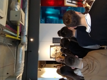 IMG_20251201_150754965