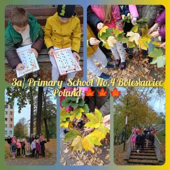 Jesień w parku.jpeg