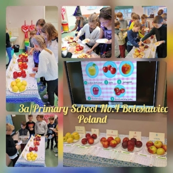 Testowanie jabłek 1