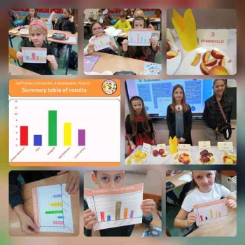 Testowanie jabłek 3