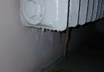 WhatsApp Image 2026-02-13 at 23.21.43.jpeg