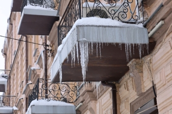 WhatsApp Image 2026-02-13 at 23.19.16 (1).jpeg