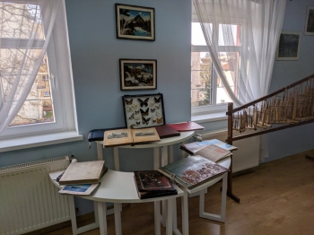 PXL_20260324_070347992.MP