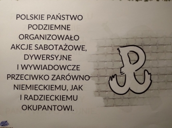 Resized_20260926_201511 (1).JPEG