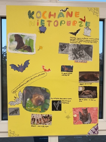 Plakat_14