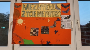 Plakat_15
