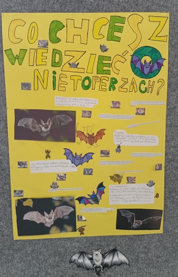 Plakat_11