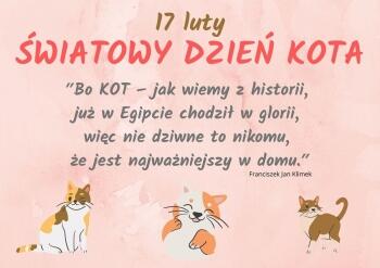 koty (7)