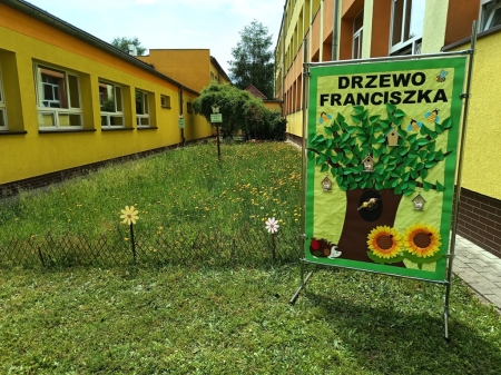 Raport z realizacji konkursu ''DRZEWO FRANCISZKA 2023''