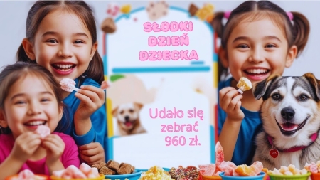 CZWARTACY W AKCJI