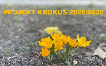 Podziękowanie za udział